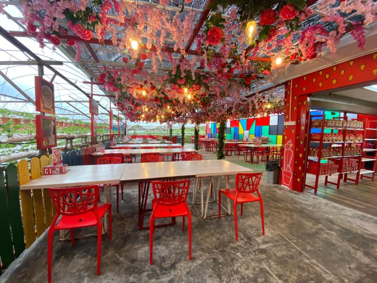 Aiza Homestay Opposite Abang Strawberry Taman Sedia 타나라타 외부 사진