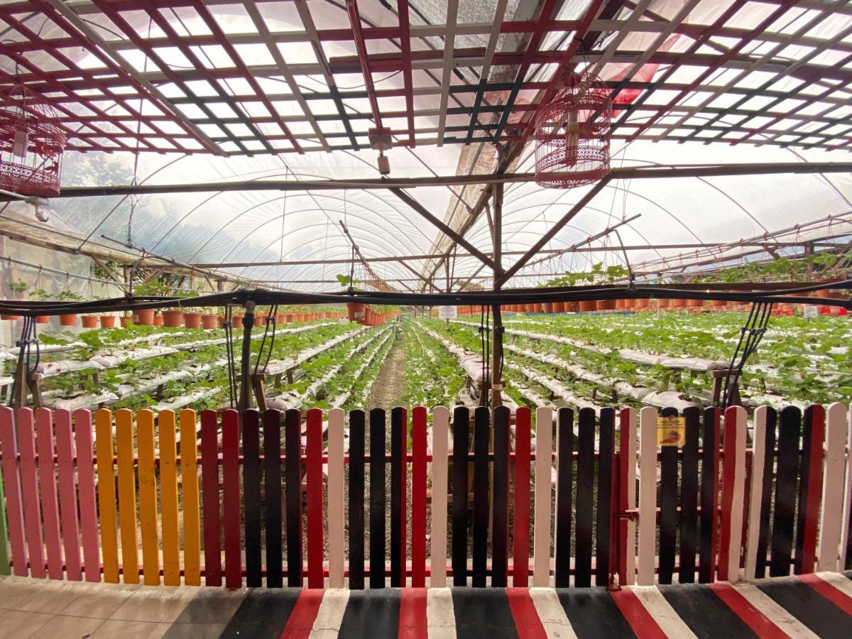 Aiza Homestay Opposite Abang Strawberry Taman Sedia 타나라타 외부 사진