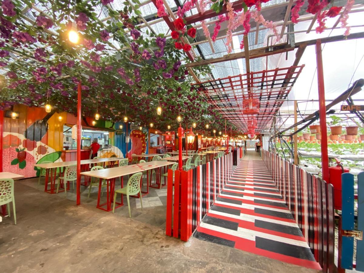 Aiza Homestay Opposite Abang Strawberry Taman Sedia 타나라타 외부 사진